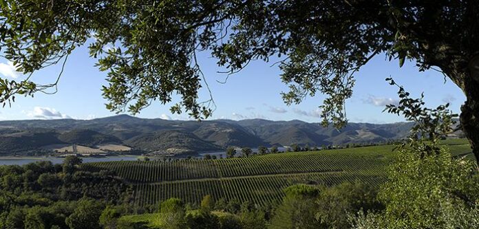 Barberani - Weingut in Italien