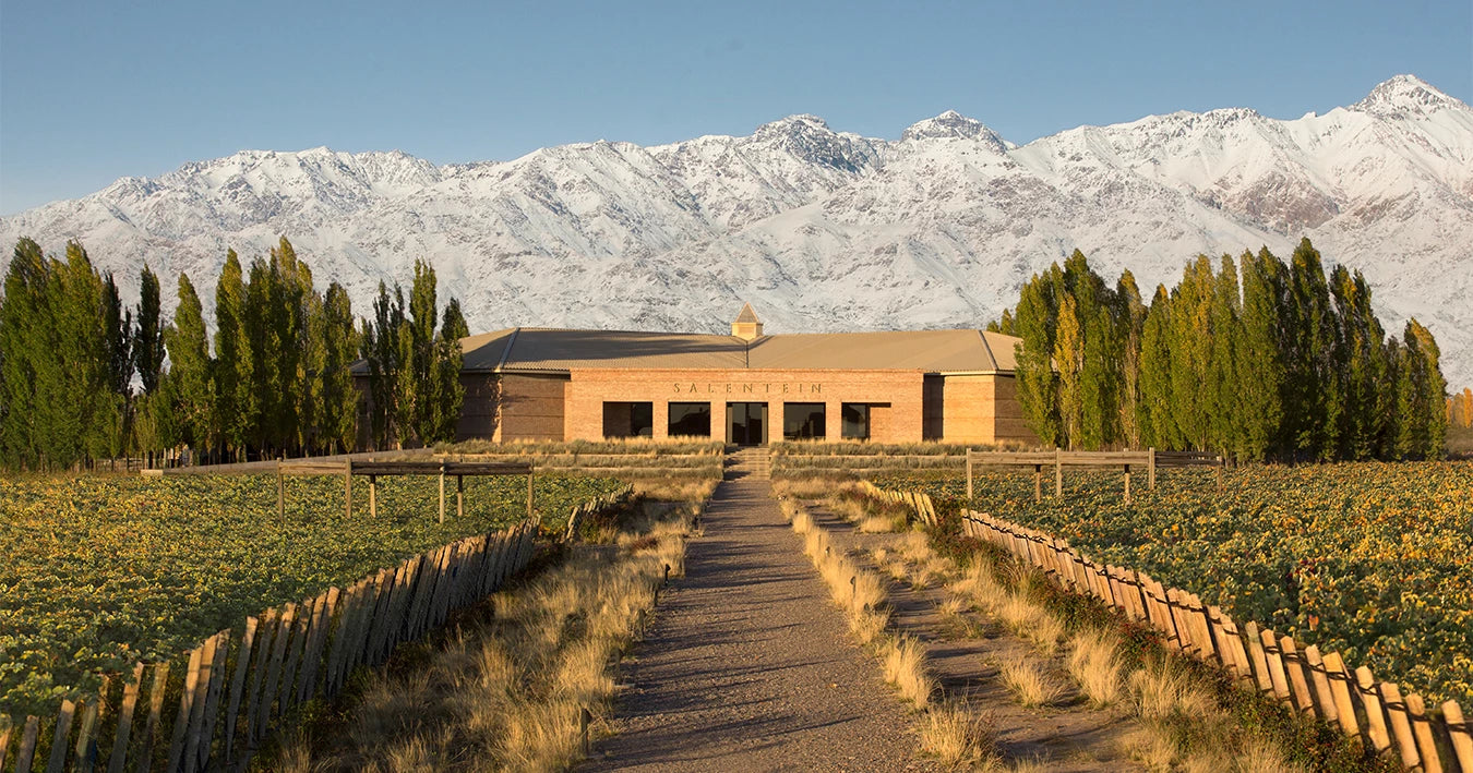 Bodegas Salentein - Weingut in Argentinien