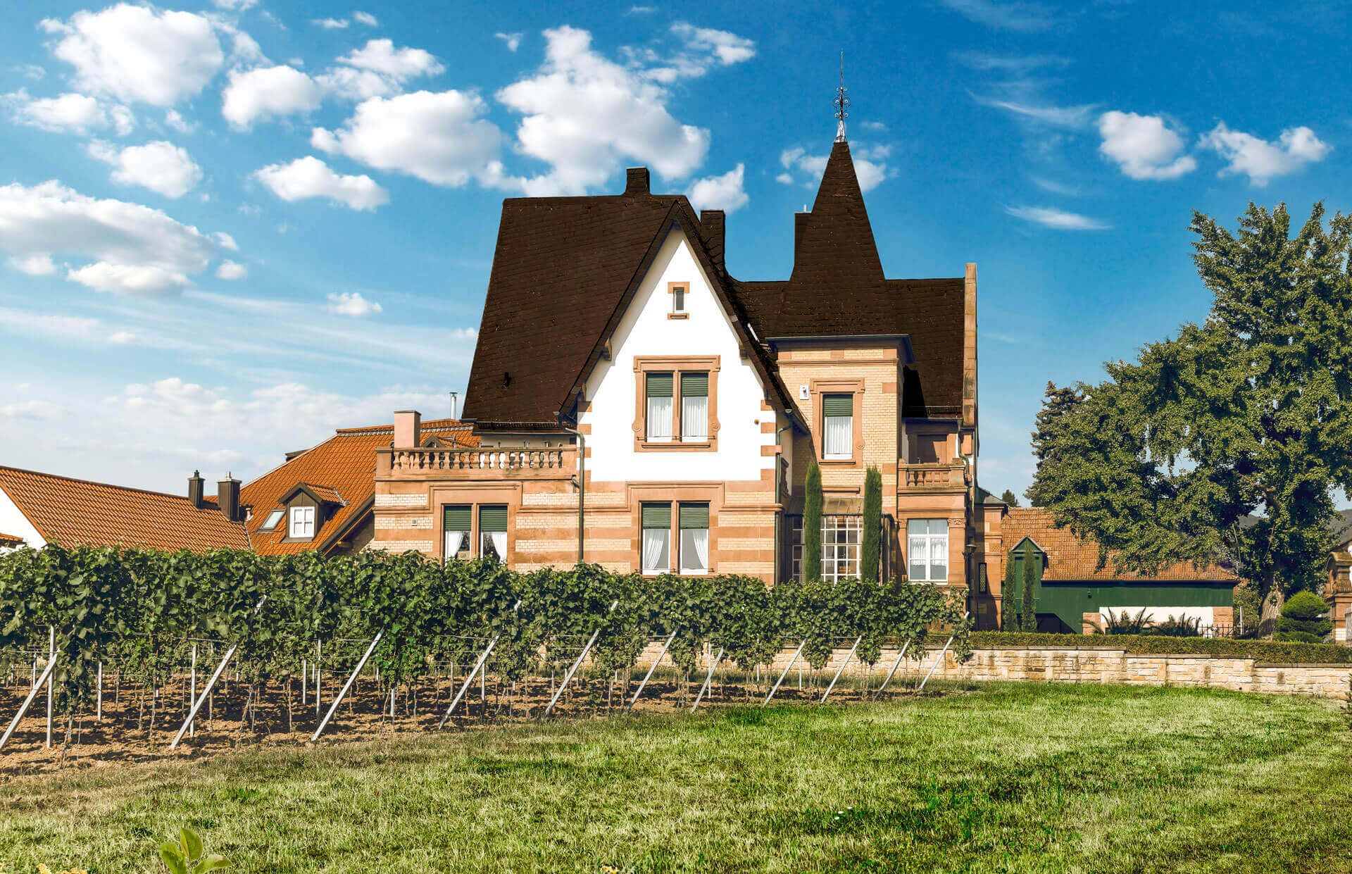 Faubel in Maikammer - Weingut in der Pfalz