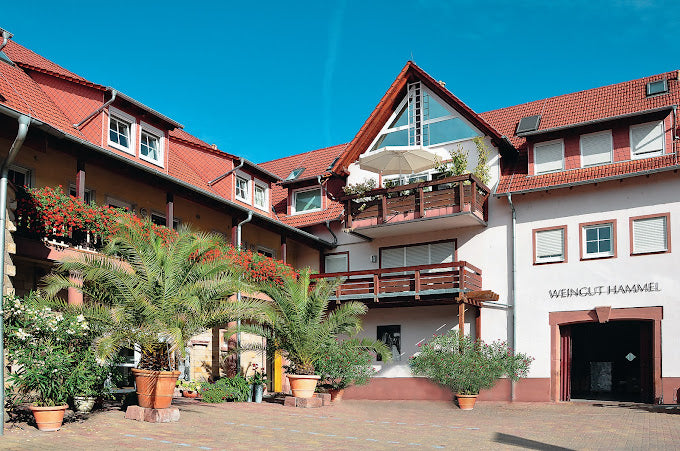 Weingut Hammel - Weingut in der Pfalz