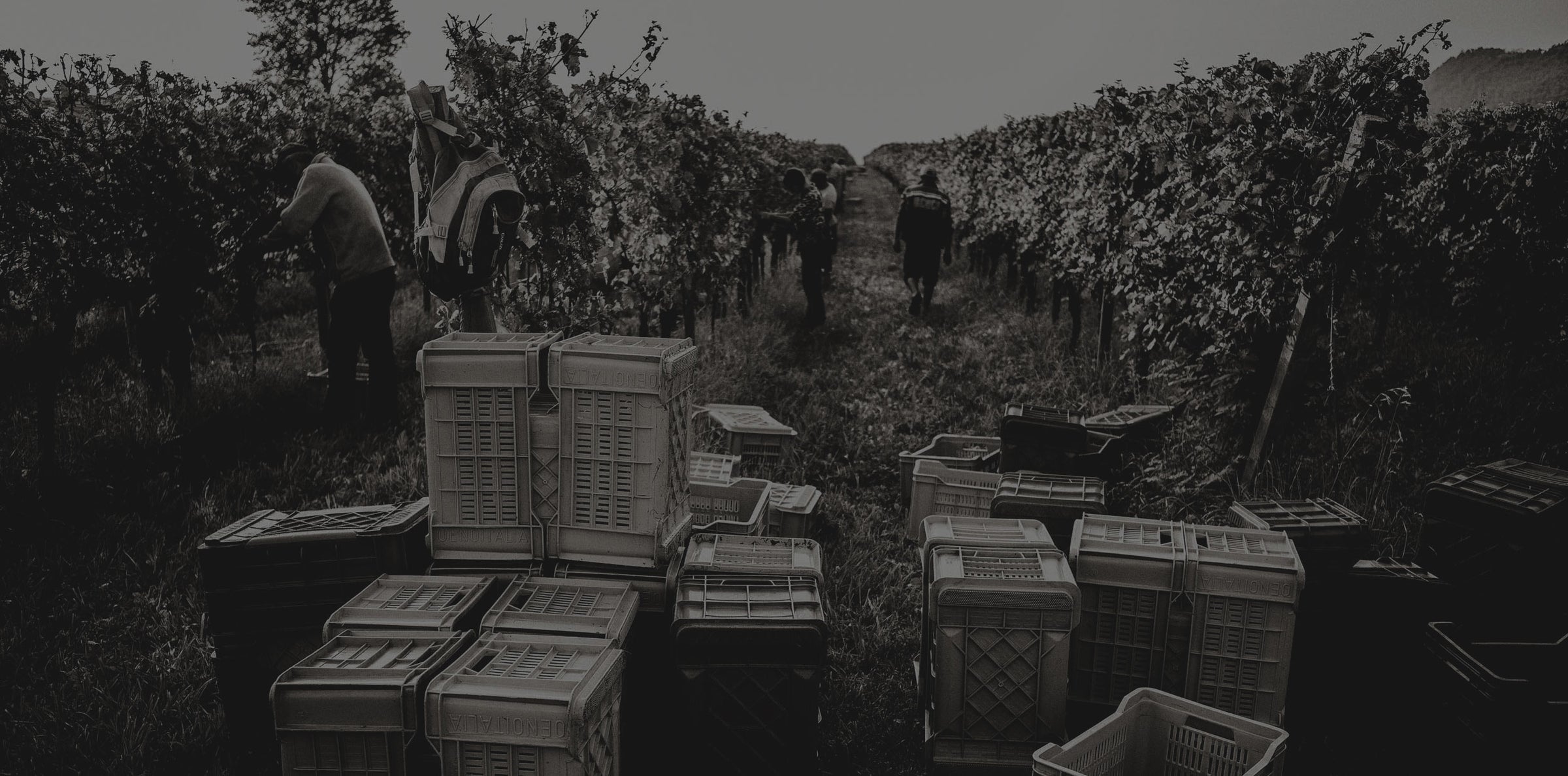 San Cristoforo - Weingut in Italien