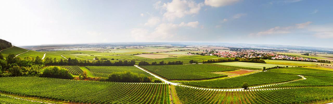 Winzergenossenschaft Franken (GWF)