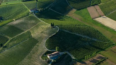 Michele Chiarlo - Weingut im Piemont (Italien)