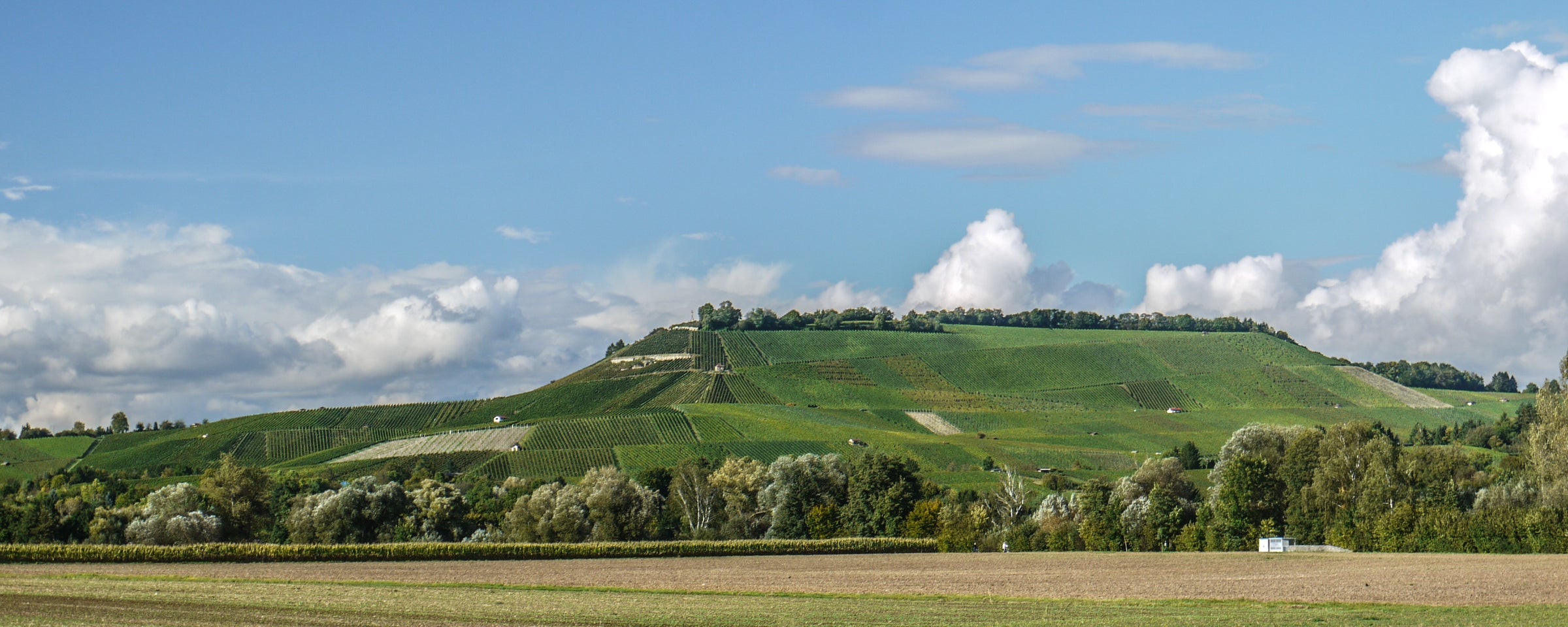 Spahlinger - Weingut in Württembeg