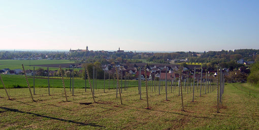Tremml - Weinbauer aus Neuburg/Donau