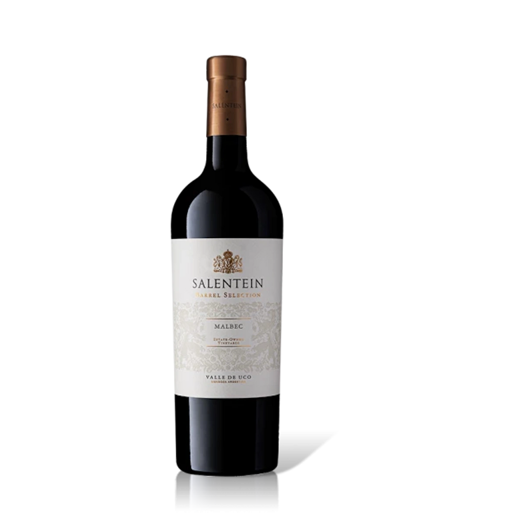 Bodegas Salentein Barrel Selection Malbec