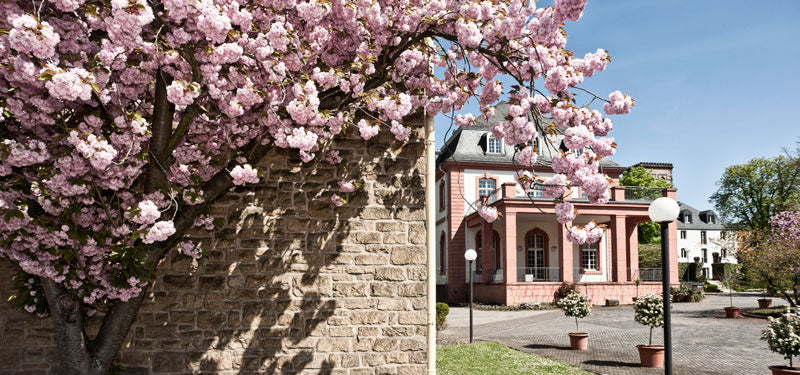 Die Vereinigten Hospitien - Deutschlands ältester Weinkeller in Trier an der Mosel