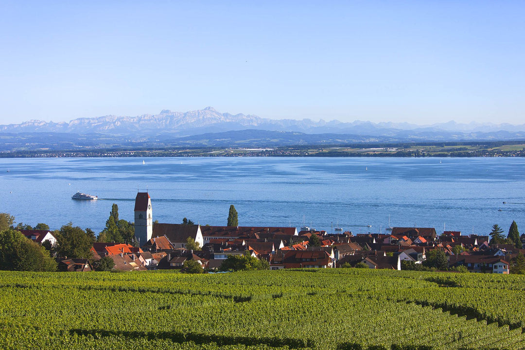 Müller Thurgau vom Bodensee: die leichte Sommer-Wein-Entdeckung vom Winzervererein Hagnau e.G.