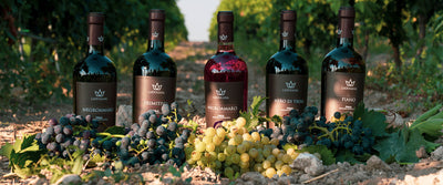 Primitivo Rotwein aus Apulien: Mehr (Meer) Biowein am Stieflabsatz von Italien