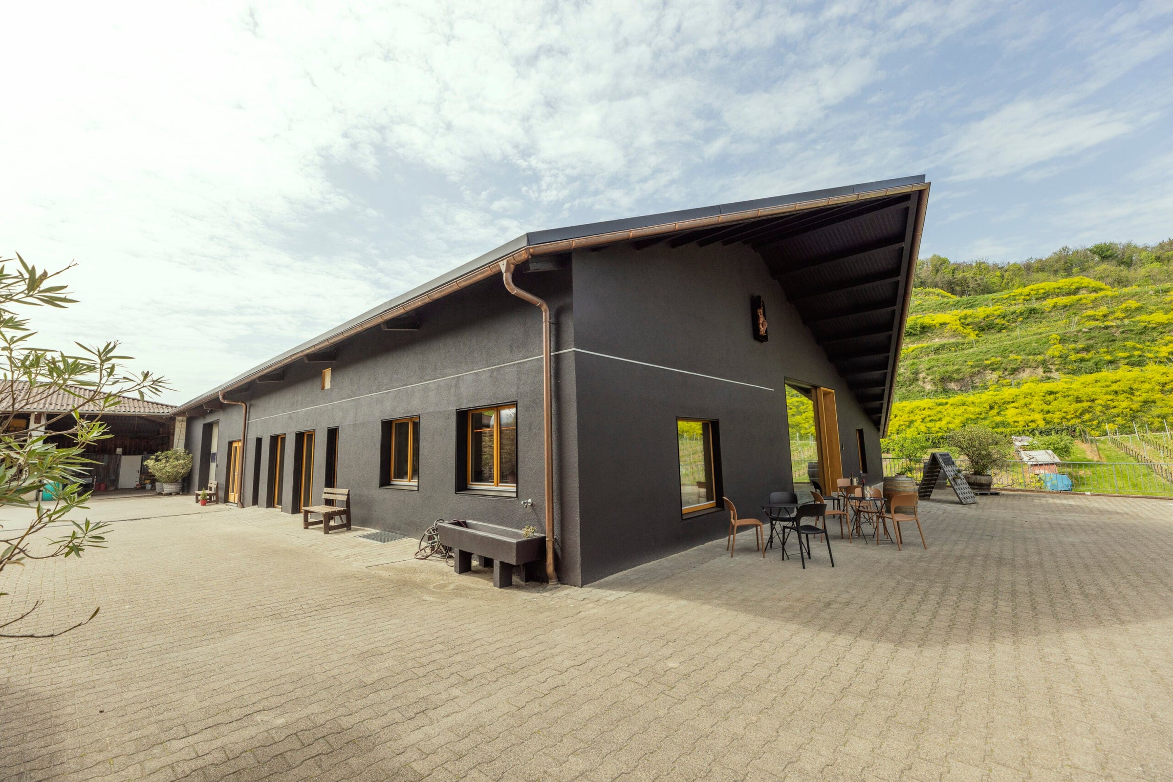 Weingut Schätzle - Kaiserstuhl (Baden)