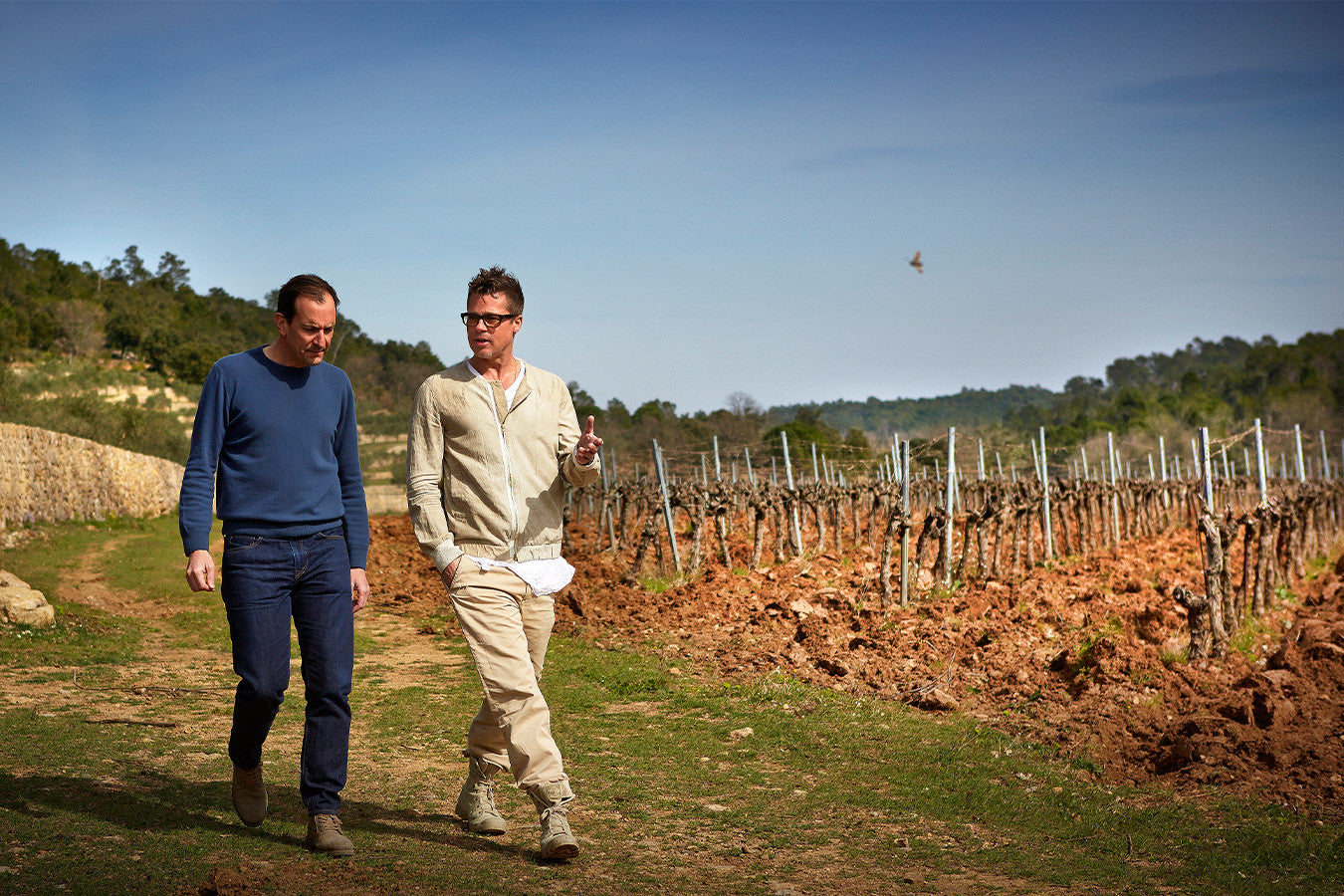 Chateau Miraval - Weingut von Brad Pitt & Perrin in der Provence