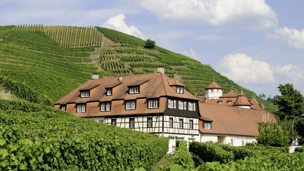 Schloss Neuweier - Weingut in Baden