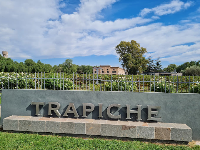 Bodegas Trapiche - Weingut in Mendoza (Argentinien)