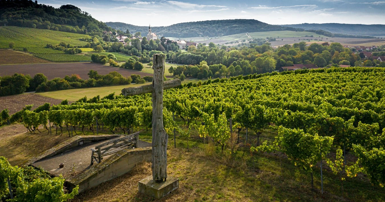 Fürstlich Castell`sche Domäne - Weingut in Franken