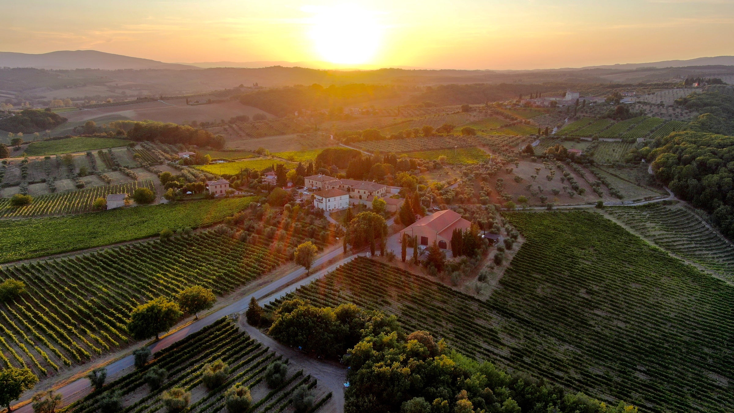 Losi - Weingut in Italien