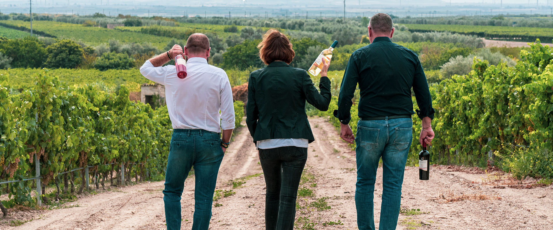 Acienda Ladogana - Weingut in Apulien