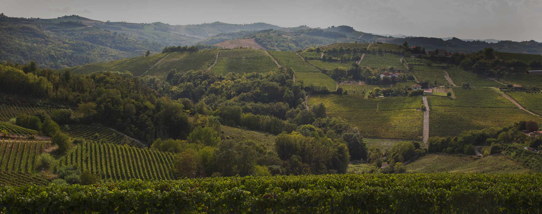 Braida - Winzer aus dem Piemont