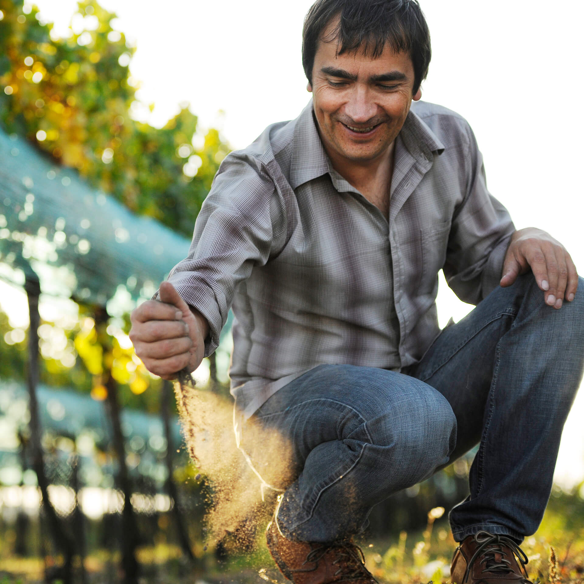 Rosenhof Weine - Winzer aus dem Burgenland