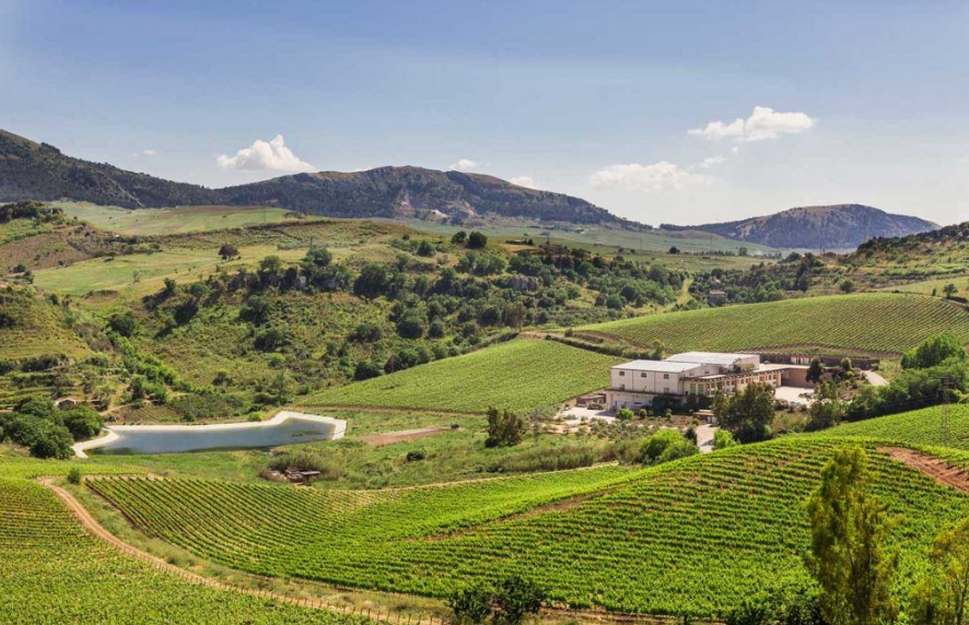 Baglio di Pianetto - Weingut auf Sizilien