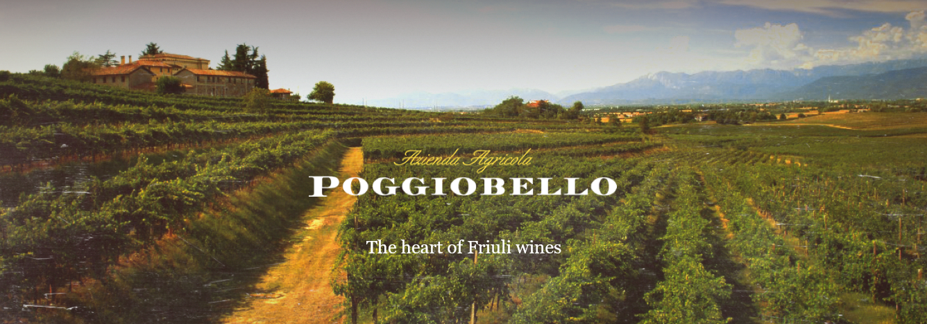 Poggiobello - Weingut im Friaul (Italien)