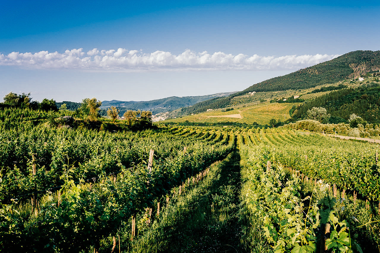 Selvapiana - Weingut in der Toskana