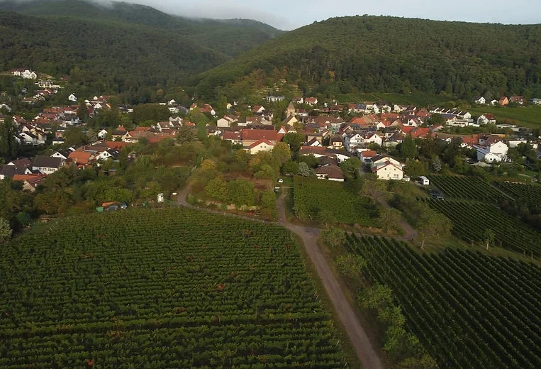 Weingut Ohler - Deutschland (Pfalz)