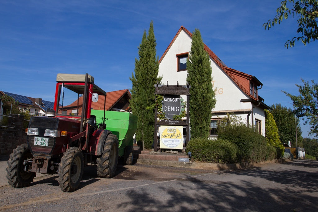 Denig - Weingut in der Pfalz