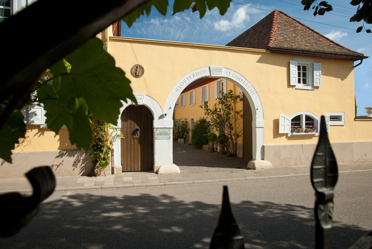 Weingut Bergdolt - Weingut in der Pfalz