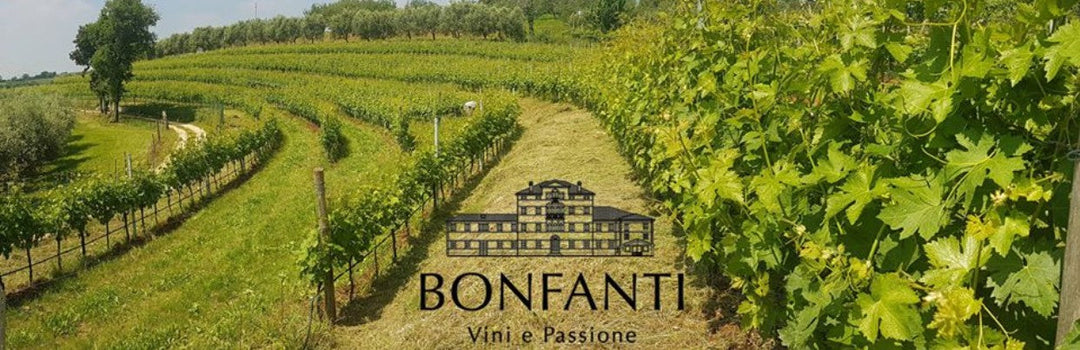 Bonfanti Vini - Weingut in Italien (Valpolicella)