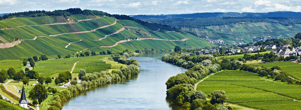 Moselland eG Winzergenosschenschaft Weine