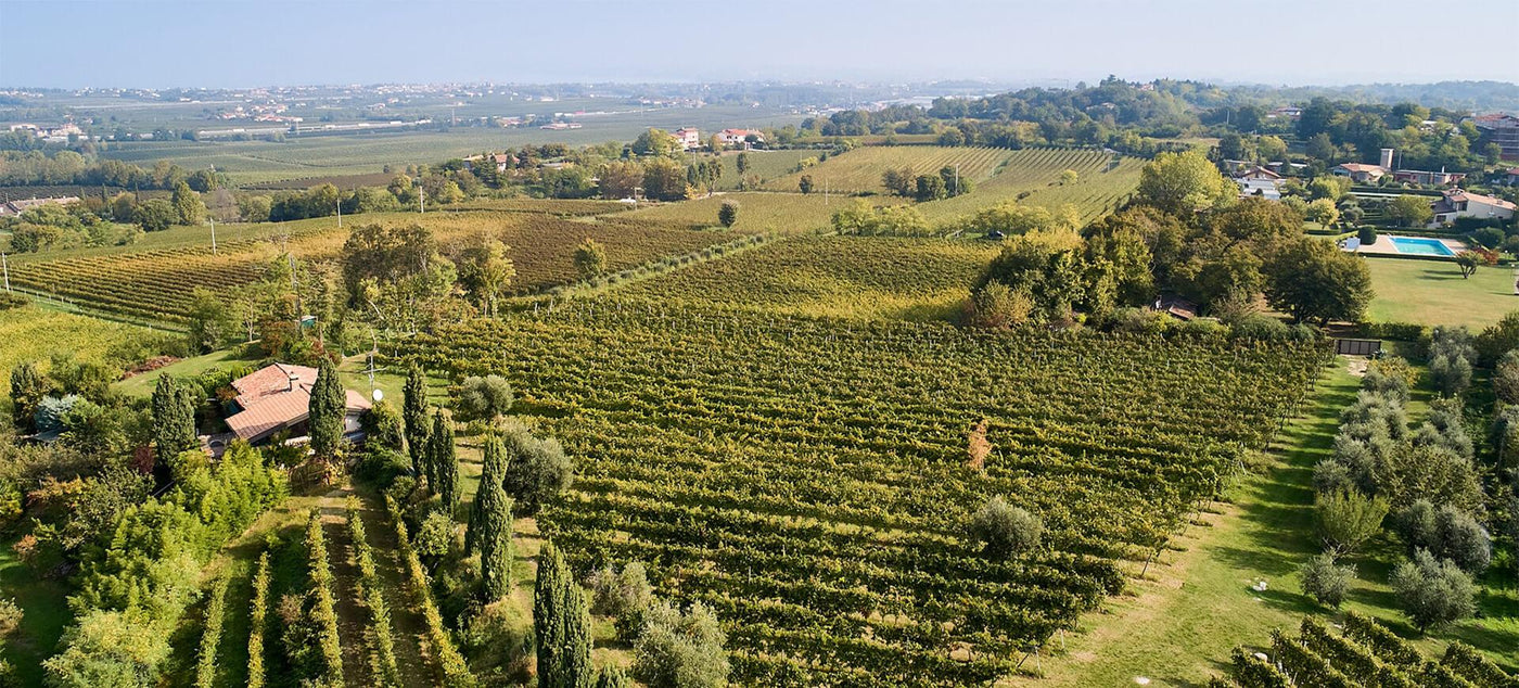 Malavasi - Weingut in Italien