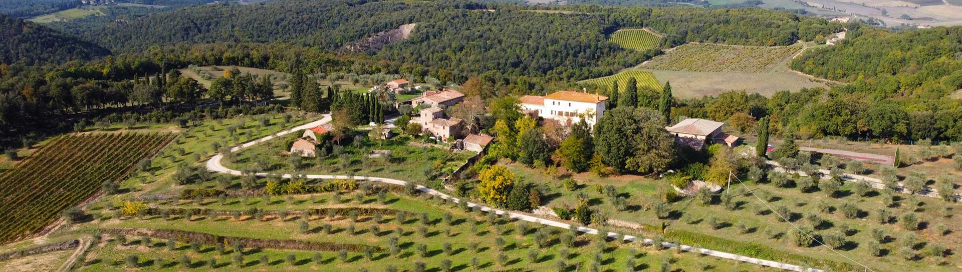 Bindi Sergardi - Weingut in Italien