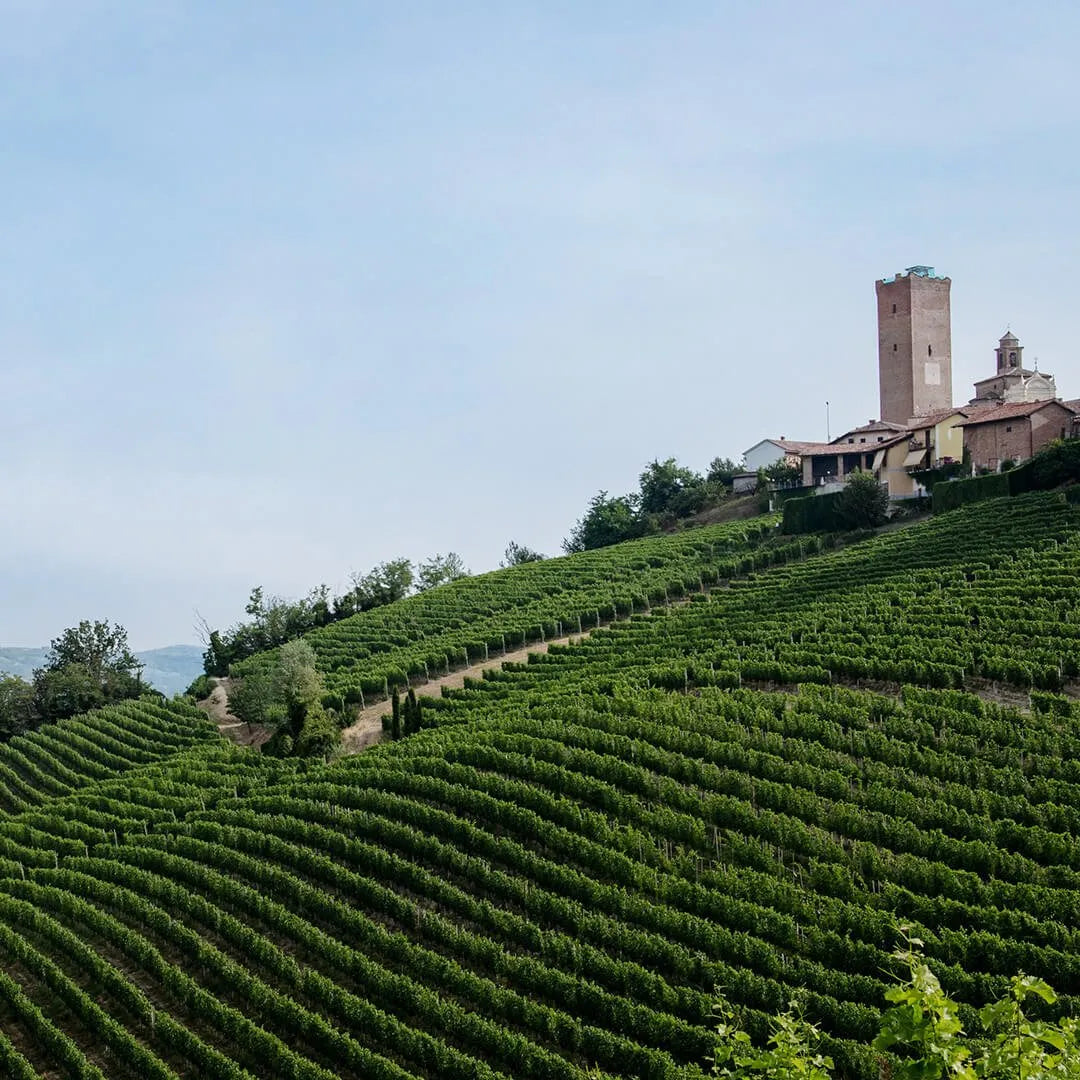 Luigi Giordano - Weingut in Italien (Piemont)