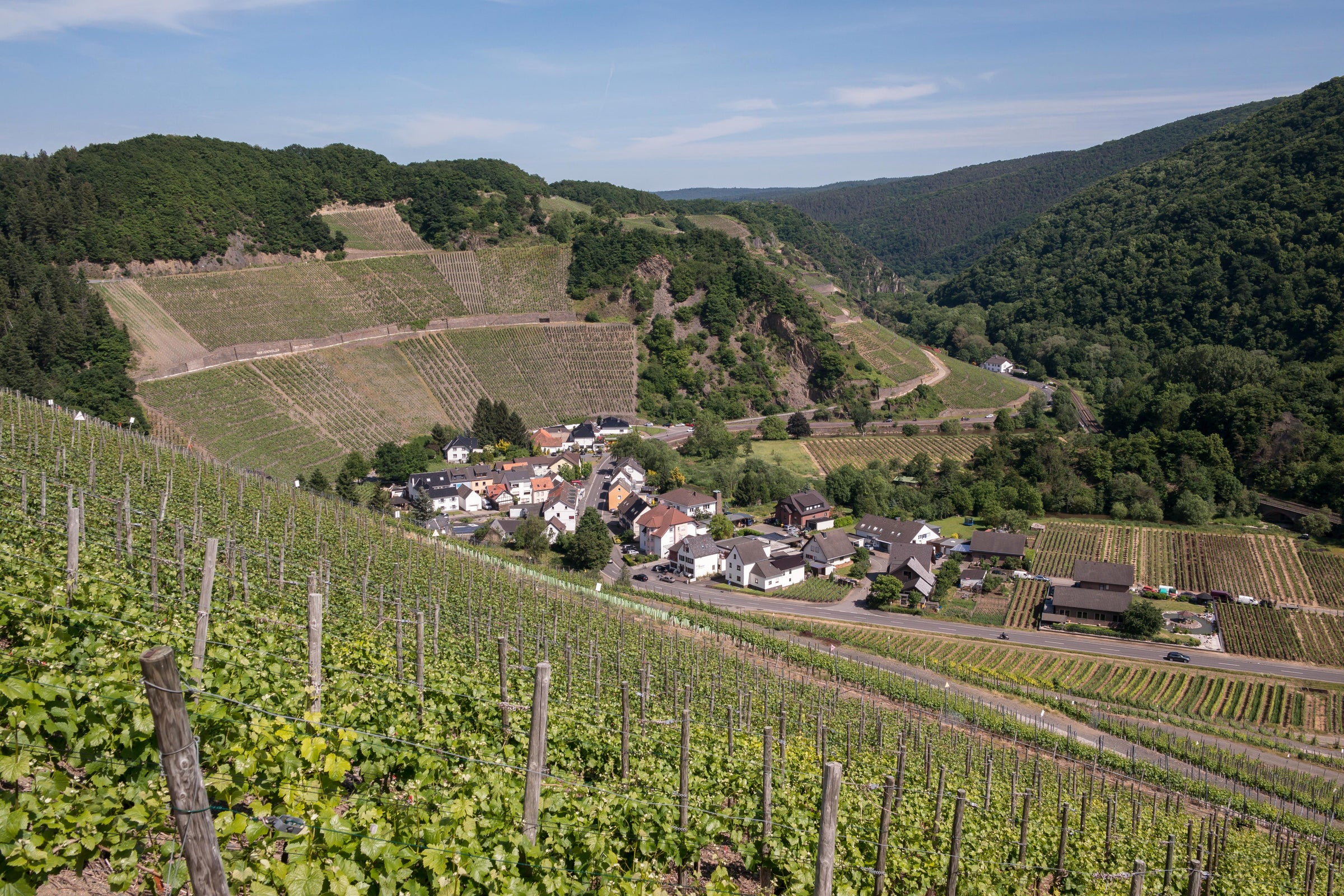 DAGERNOVA Weinmanufaktur Ahr Winzer eG - Winzergenossenschaft im Ahrtal