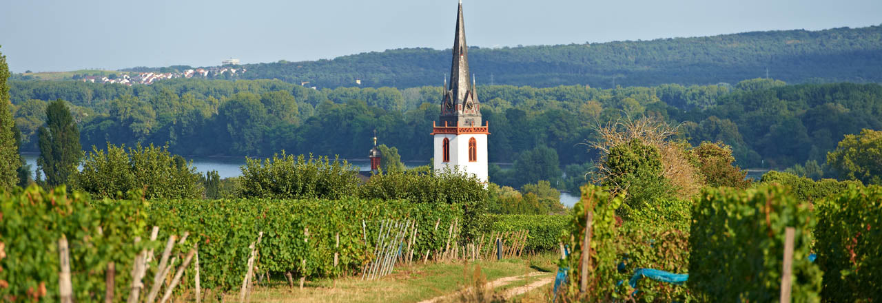 Nikolai - Weingut im Rheingau