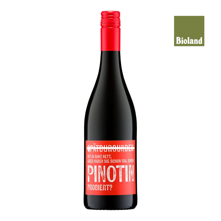 Weingut Galler Piwi Pinotin QbA Rotwein trocken