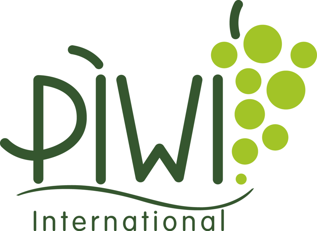 Weingut Galler Piwi HEINRICH - Cabernet Blanc Spätlese trocken