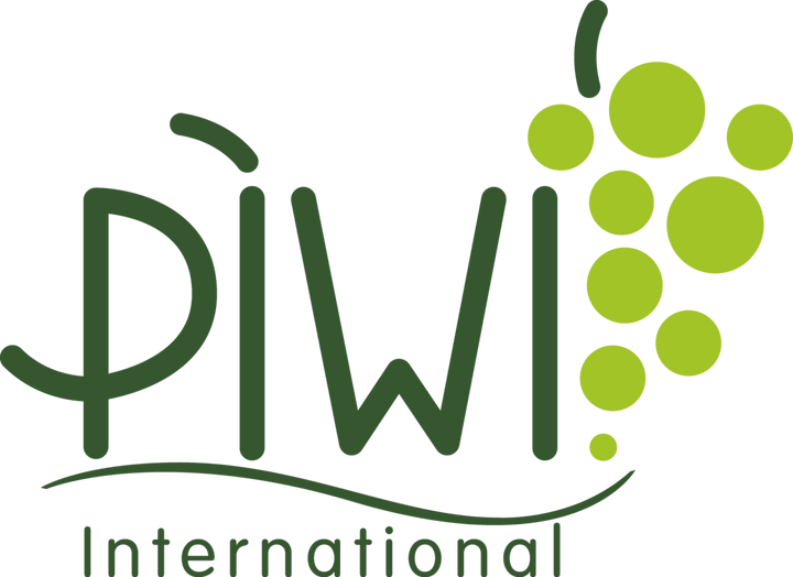 Weingut Galler Piwi Muscaris QbA feinherb